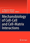 mechanobiology-of-cell-matrix-interactions