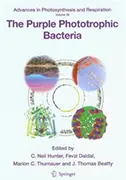 purple-phototrophic-bacteria