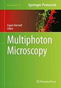 multiphoton-microscopy