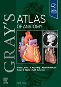 grays-atlas-of-anatomy