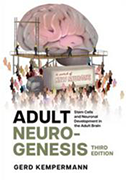 adult-neurogenesis