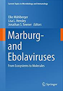 marburg-and-ebolaviruses