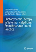 photodynamic-therapy-in-veterinary