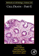 cell-death-part-e