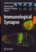 immunological-synapse