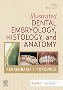 illustrated-dental-embryology