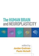 human-brain-and-neuroplasticity
