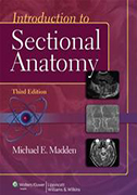 introduction-to-sectional-anatomy