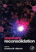 memory-reconsolidation