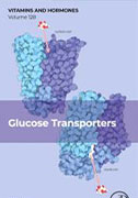 glucose-transporters