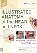 illustrated-anatomy-of-the-head-and-neck