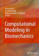 computational-modeling-in-biomechanics