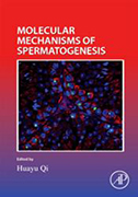 molecular-mechanisms-of-spermatogenesis