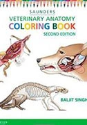 saunders-veterinary-anatomy