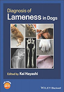 diagnosis-of-lameness-in-dogs