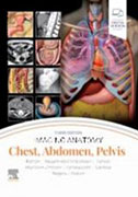 imaging-anatomy-chest-abdomen.