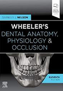 wheeler-dental-anatomy