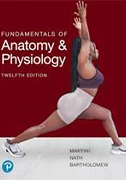 fundamentals-of-anatomy-and-physiology