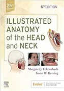illustrated-anatomy-of-the-head