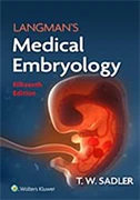 langmans-medical-embryology