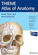 thieme-atlas-of-anatomy