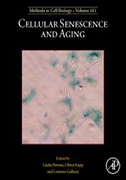 cellular-senescence-and-aging