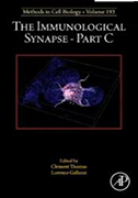 immunological-synapse