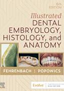 illustrated-dental-embryology