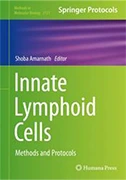 innate-lymphoid-cells.