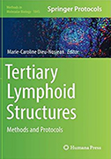 tertiary-lymphoid-structures