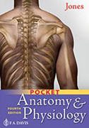 pocket-anatomy