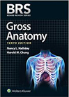 brs-gross-anatomy