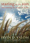 starting-at-the-sun