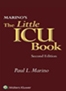 little-ICU-book-of-facts-books