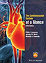 cardiovascular-system