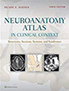 neuroanatomy-in-clinical-context-books