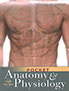 pocket-anatomy-&-physiology-books