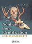 human-and-nonhuman-bone