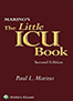 little-ICU-book-of-facts-and-formulas-books