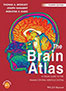 brain-atlas