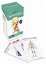 anatomy-flashcards-310-clearly-labeled-books