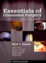 essentials-of-glaucoma-surgery-books