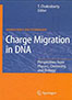 charge-migration-in-dna