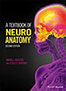 neuroantomy