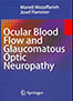 ocular-blood-flow