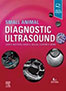 diagnostic-ultrasound