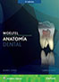 woelfel-anatomia-dental